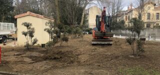 arbuste transformateur montélimar